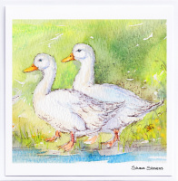 duck_friends