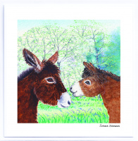 new_forest_donkeys_and_bluebells