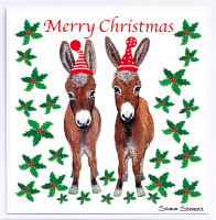 new_forest_donkeys_at_christmas
