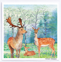 new_forest_fallow_deer_card