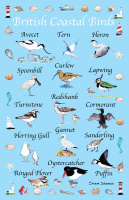 shaun_stevens_-_rgb_website_british_coastal_birds_tea_towel_final_19_12_2023_jpg