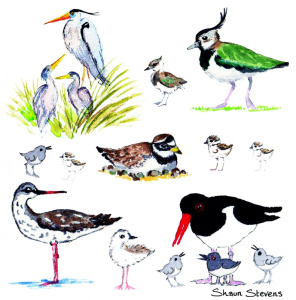 birds_543849113