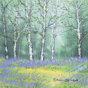 bluebells