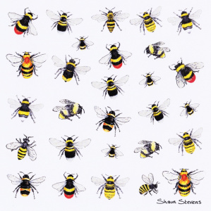 bumblebee_galore_924812268