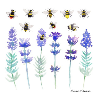 buzzing_bee_website_1621124818