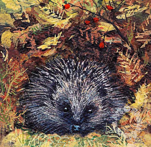 cards_-_ssai006_new_forest_hedgehog_595897317