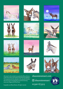 donkey_calendar_back_1103188449