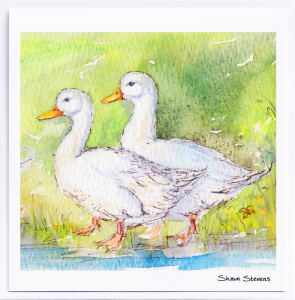 duck_friends