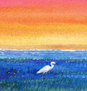 great_egret_and_oystercatchers