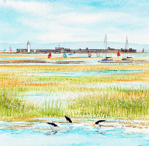 hc_oystercatchers_and_sails