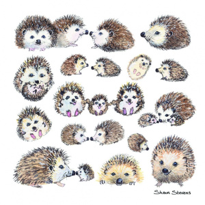 hedgehogs_coaster