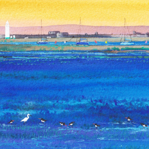hurst_castle_and_solent_bird_life