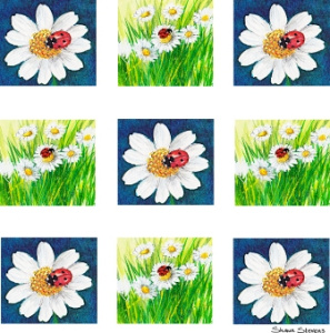 ladybirds_and_daisies
