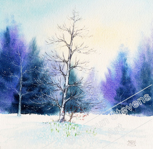 new_forest_winter_birch_