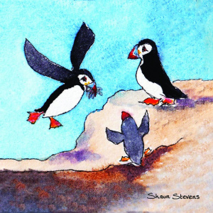 puffin_family__466571183