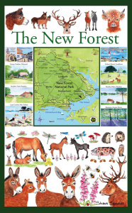 shaun_stevensnew_forest_map_website_