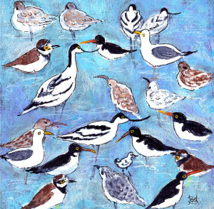 solent_birds