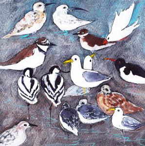 solent_birds_i