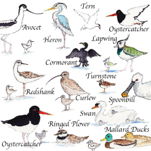 solent_birds_with_text_ii_